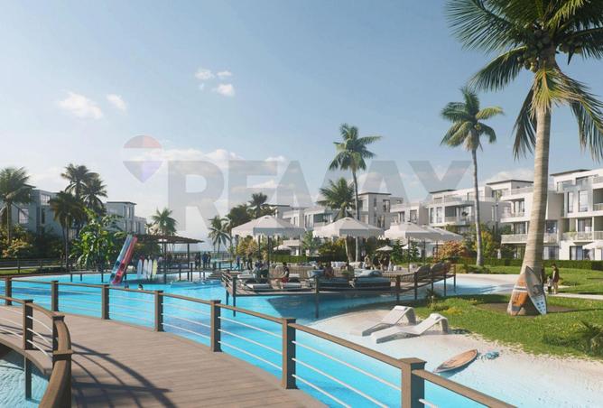 91282224 - Property Image 3