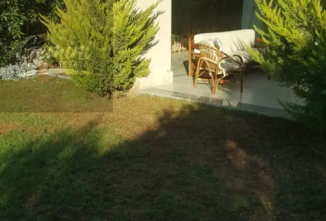 102071589 - صورة العقار 3
