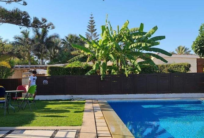 54230754 - Property Image 3