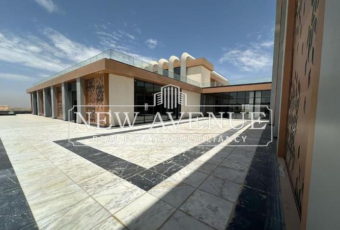 72979771 - صورة العقار 3