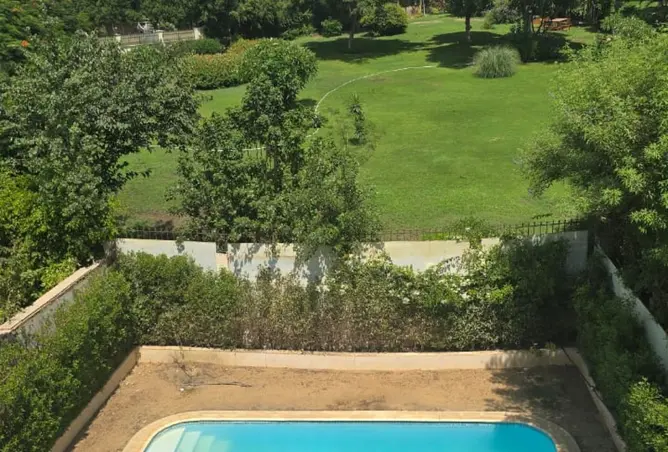 111579595 - صورة العقار 3