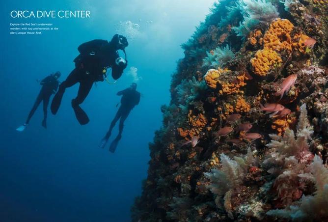 8557500 - Property Image 2