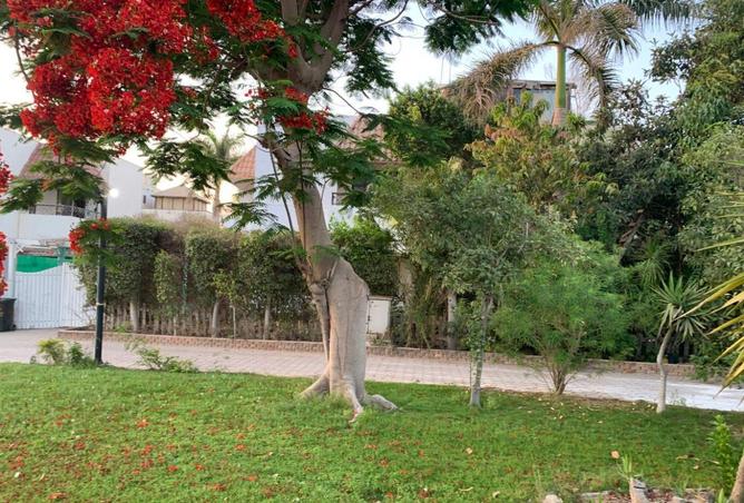 81320254 - صورة العقار 2