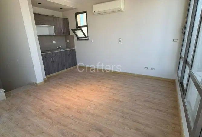 116741459 - Property Image 3