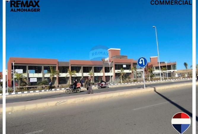 8667408 - Property Image 3