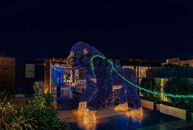 68265196 - الصورة الرئيسية للعقار