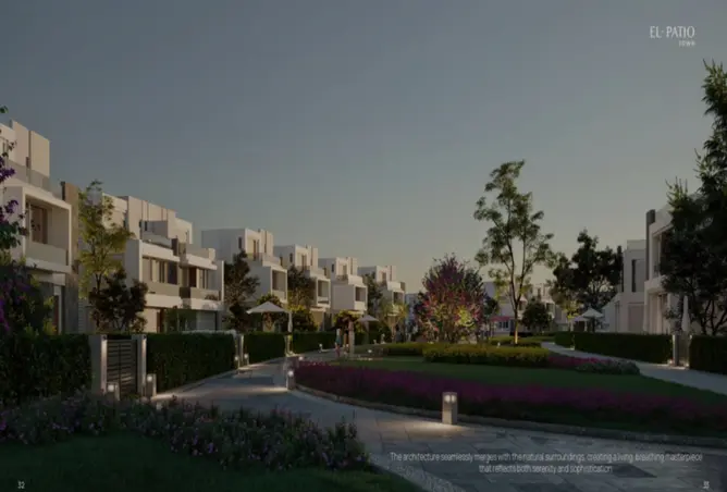 115441418 - Property Image 3