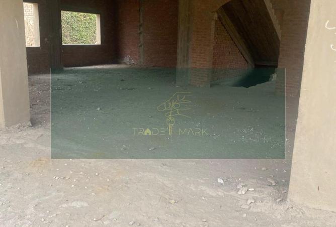 56245749 - Property Image 2