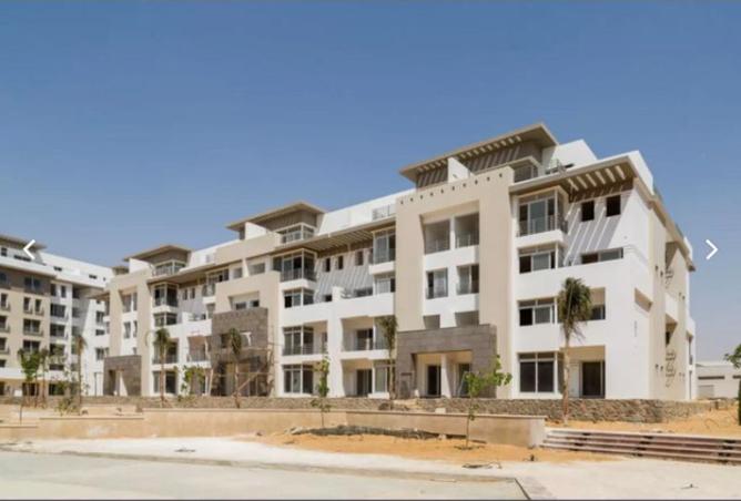 61684598 - Property Image 3