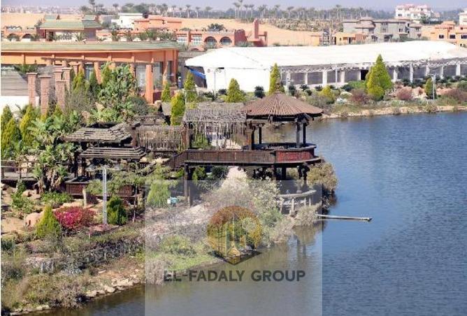 8464870 - صورة العقار 3