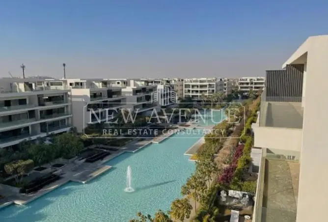 113545648 - صورة العقار 3