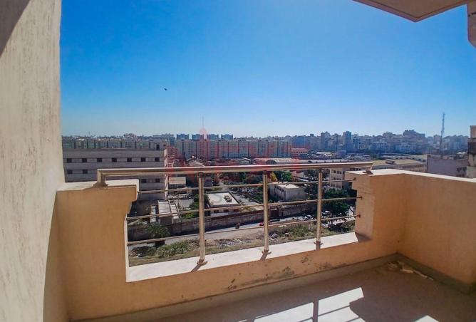 65658952 - Property Image 2