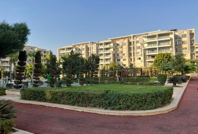 8528826 - Property Image 3