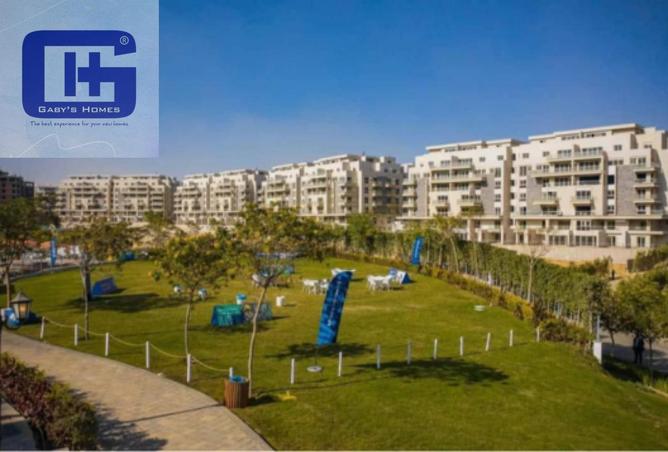 56248434 - Property Image 3