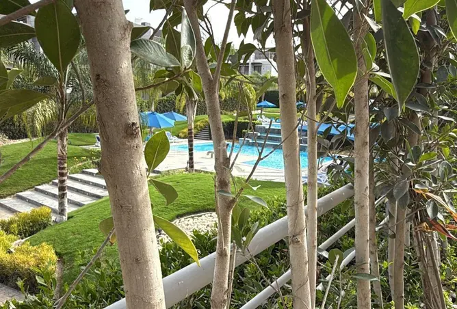 76227375 - صورة العقار 2