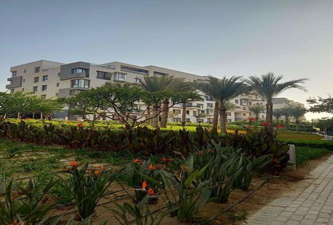 78930885 - Property Image 3