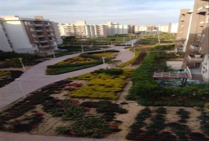 69055993 - Property Image 2