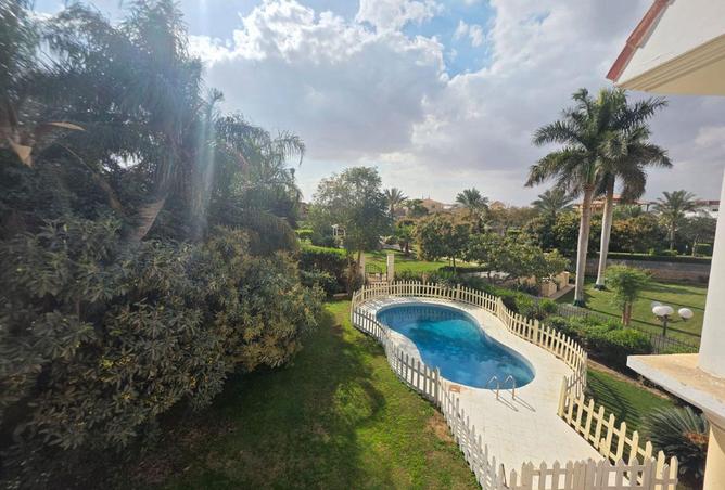 54243357 - صورة العقار 3