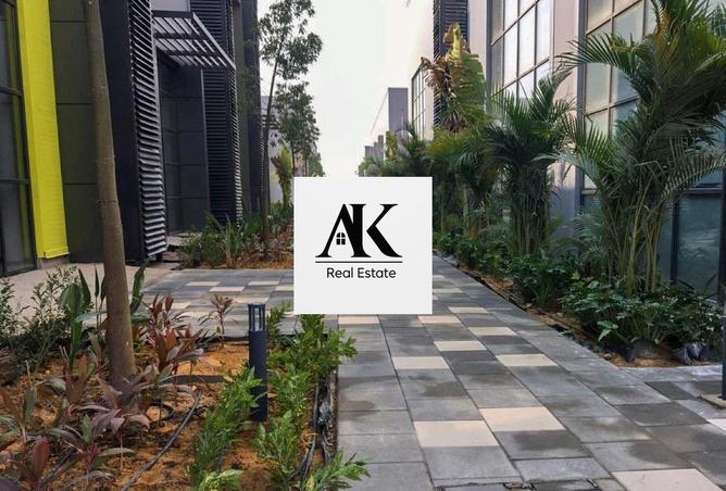 62170409 - Property Image 3