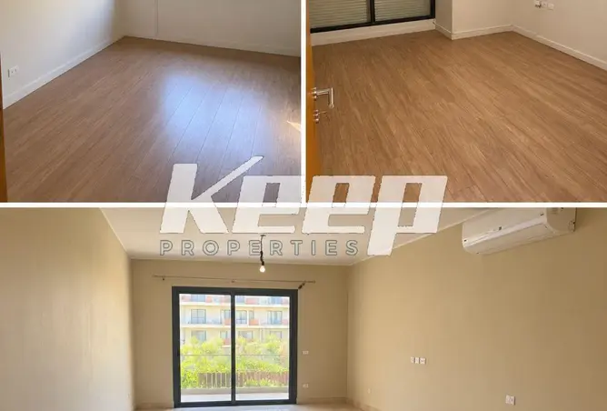 115975499 - Property Image 2