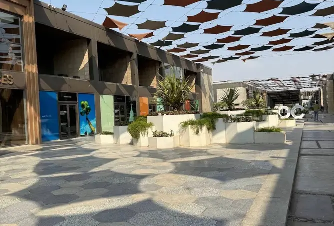 116748149 - صورة العقار 2
