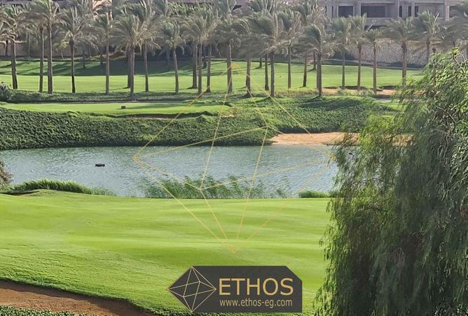 67479534 - Property Image 2