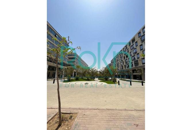 54233216 - صورة العقار 3