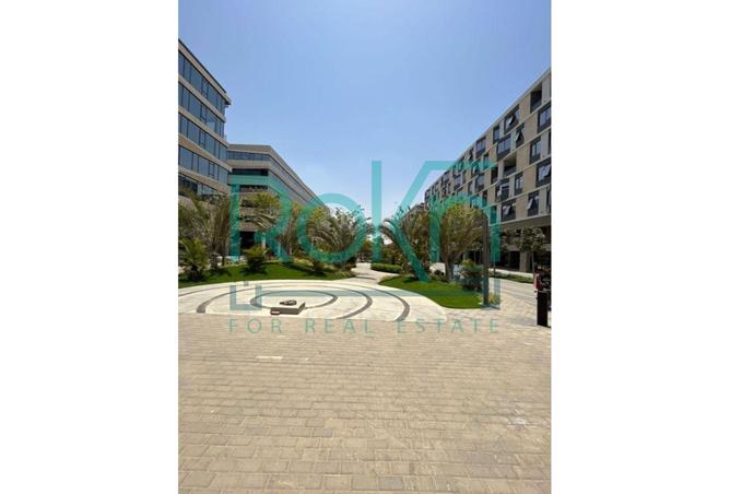 54233216 - صورة العقار 2