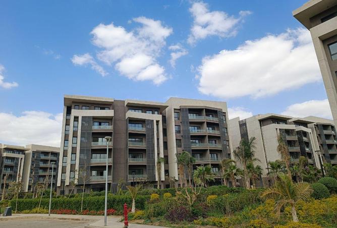 8552265 - Property Image 3