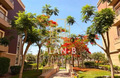 شقة - 3 - 3 للايجار في نيو جيزة - طريق مصر اسكندرية الصحراوي - مدينة 6 أكتوبر - الجيزة شقة - 3 - 3 للايجار في نيو جيزة - طريق مصر اسكندرية الصحراوي - مدينة 6 أكتوبر - الجيزة