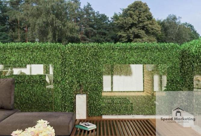 64378862 - صورة العقار 2