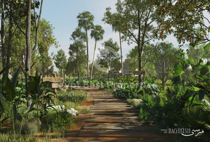 8654409 - صورة العقار 3