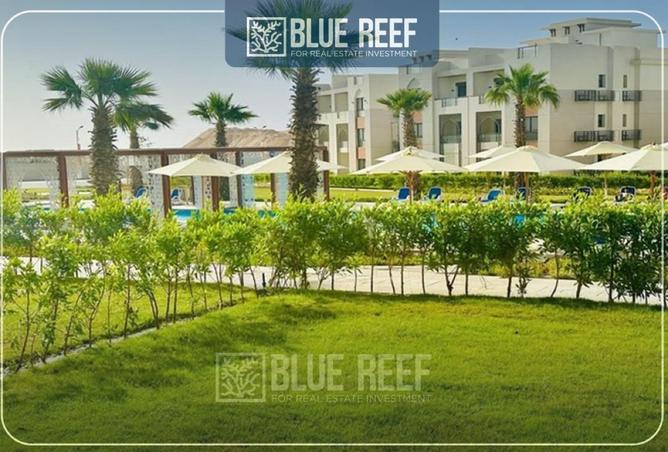 69574560 - Property Image 3