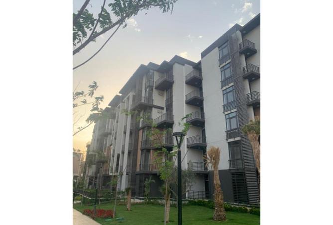 52186418 - صورة العقار 3