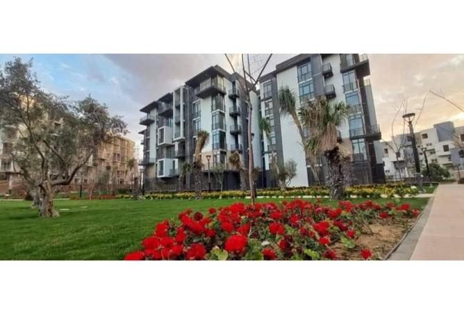 52186418 - الصورة الرئيسية للعقار