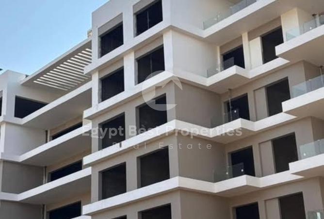 61683509 - Property Image 2