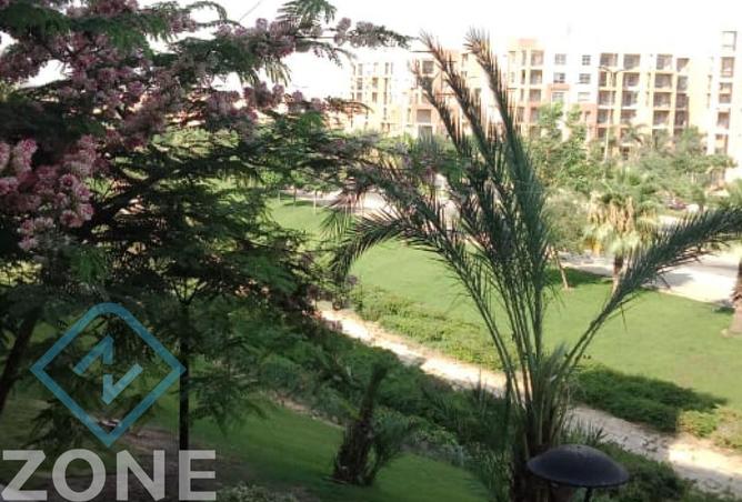 54241606 - صورة العقار 2