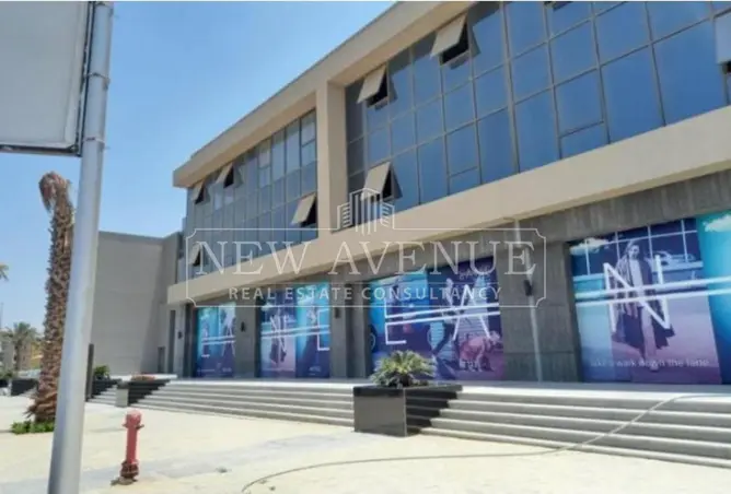 113522402 - Property Image 3