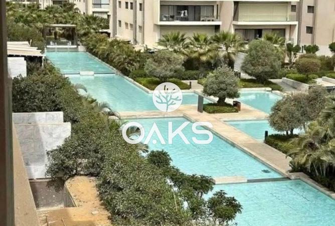 61684551 - Property Image 3