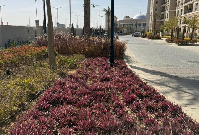 51925986 - Property Image 2