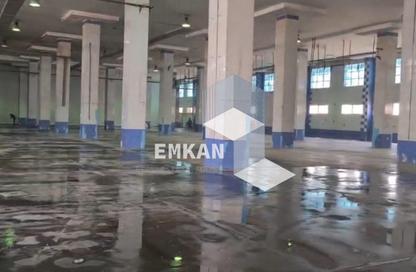 مصنع - استوديو - 3 حمامات للايجار في طريق المنطقة الصناعية - السنترال - المنطقة الصناعية - مدينة 6 أكتوبر - الجيزة