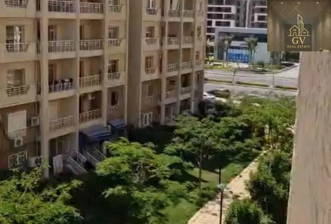 116226232 - Property Image 2