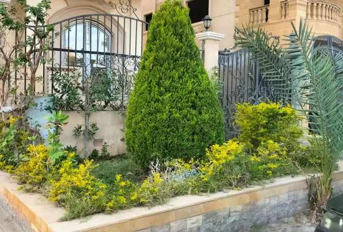 118551227 - صورة العقار 3
