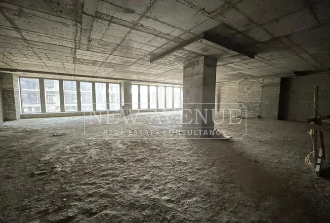 113252255 - Property Image 2