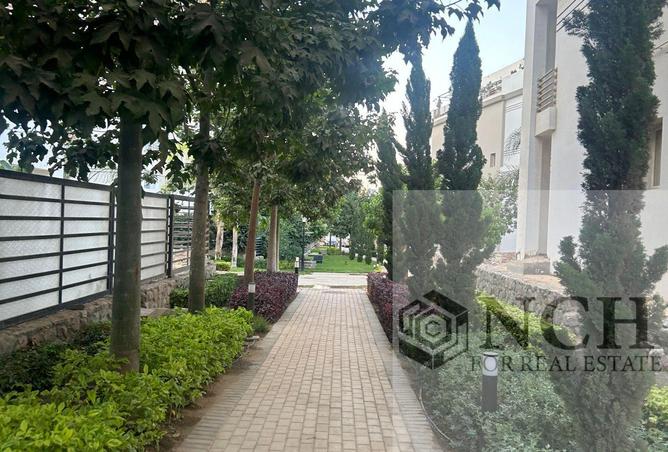 66951166 - Property Image 2