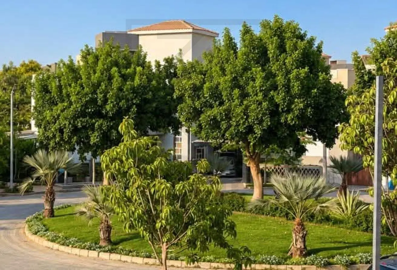 117271435 - الصورة الرئيسية للعقار