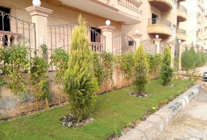 75687515 - صورة العقار 3