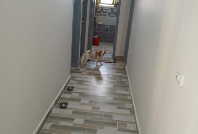 8678105 - صورة العقار 2