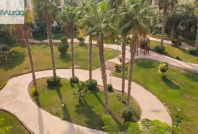 119336269 - صورة العقار 3