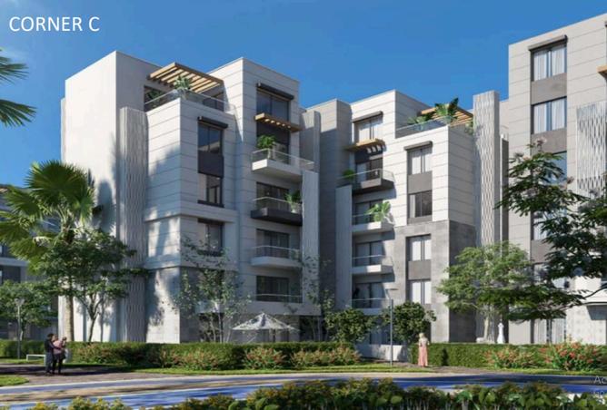 8420088 - Property Image 3